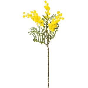 ~U   lC A[eBtBVt[ Mtg v[g A t[AWg fBXvC  ԍ  A[gt[ CeAO[ tFCNO