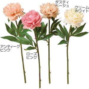 yԁz CeA sIj[ S35cm 5{Zbg 䉖 VNN A[eBtBVt[ lHϗtA