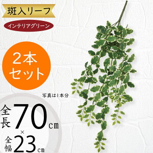 tFCNO[  lC CeAO[ A lHϗtA  lH A[gvc A[gO[ ϗtA ChAO[ CeA IuWF  ԍ t 