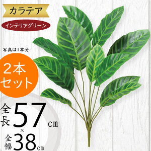 tFCNO[ lC  A ϗtA CeAO[ lHϗtA  A[gO[ lH ԍ  t͗l CeA IuWF t[AWg fBXv