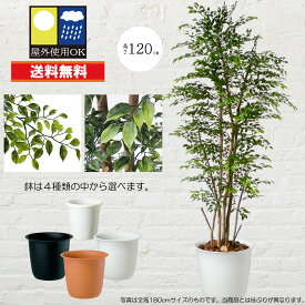 フェイクグリーン 屋外対応 屋外用 おしゃれ 人気 リアル おすすめ 全高120cm 観葉植物 インテリアグリーン ミニフィカス ベンジャミン 人工観葉植物 人工樹木 緑 アートグリーン 大型 大きい 大きめ 室内 屋内 お庭 テラス バルコニー ベランダ 目隠し アウトドア お洒落