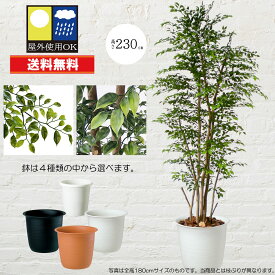 フェイクグリーン 屋外対応 屋外用 特大 おしゃれ 人気 リアル おすすめ 全高230cm 観葉植物 インテリアグリーン ミニフィカス ベンジャミン 人工観葉植物 人工樹木 アートグリーン 大型 大きい 超大型 室内 屋内 お庭 テラス バルコニー ベランダ 目隠し アウトドア お洒落