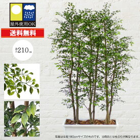 フェイクグリーン 屋外用 屋外対応 観葉植物 おしゃれ 特大 全高210cm×全幅1.0m リアル 人気 おすすめ パーテーション パーティション 間仕切り 目隠し 仕切り インテリアグリーン ミニフィカス ベンジャミン 大型 大きい 大きめ ワイド 幅広 オブジェ 造花 人工観葉 樹木