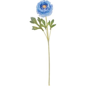 iLX   lC A A[eBtBVt[ Mtg v[g t[AWg fBXvC G CeA Ƌ pi ԍ Cxg ꑕ 