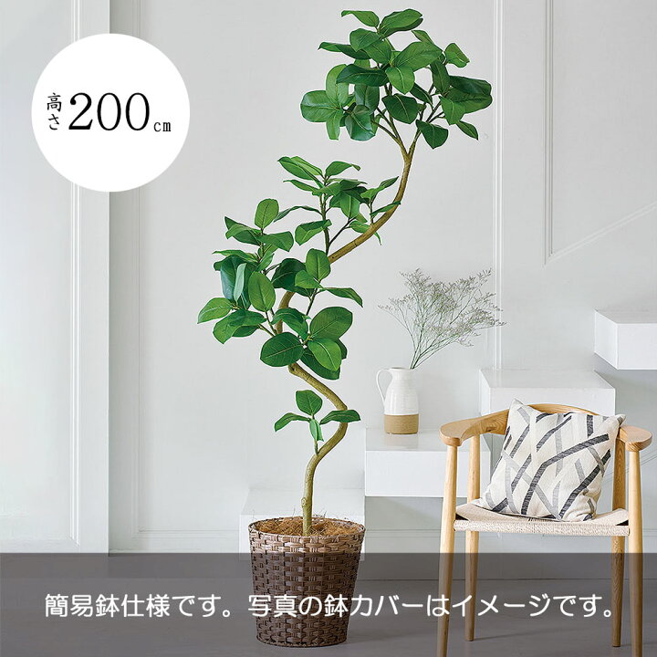 楽天市場】アルテシマ おしゃれ 大型 人気 フェイクグリーン リアル 