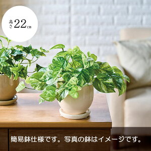 |gX tFCNO[  lC CeAO[ A }[u|gX ^  fXN lHϗtA ϗtA   CeA IuWF Ƌ   rO Q