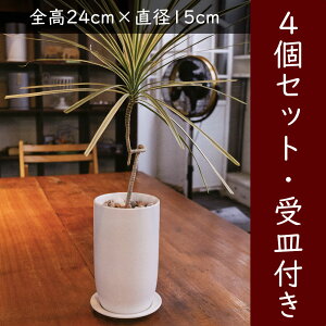 Aؔ 󂯎Mt  lC v^[ ^  |bg  |pi ϗt ϗtA ChAO[ K[fjO CeAO[ Vv  eX  }bgz