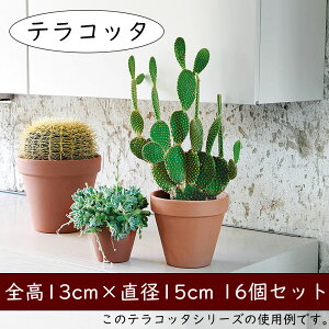 テラコッタ 植木鉢 おしゃれ 人気 プランター おすすめ 観葉植物 素焼き 園芸鉢 観葉鉢 陶器鉢 器 ポット ガーデニング 園芸用品 寄せ植え 花壇 緑 インテリア お庭 テラス バルコニー 屋上