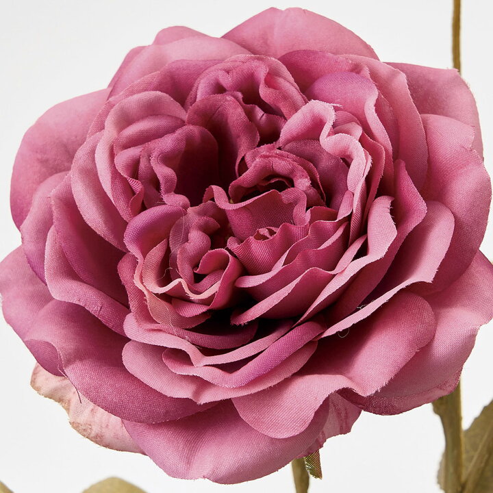 楽天市場】バラ 造花 全長62cm 2本セット(ばら 薔薇 ローズ アーティフィシャルフラワー アレンジ ギフト) : グリーンランド 楽天市場】バラ 造花 全長62cm 2本セット(ばら 薔薇 ローズ アーティフィシャルフラワー アレンジ ギフト) : グリーンランド