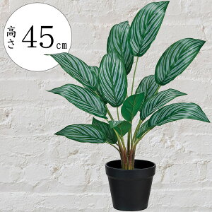 フェイクグリーン アグラオネマ 観葉植物 おしゃれ インテリアグリーン 人気 おすすめ リアル 斑入り 小型 小さい 小さめ インテリア オブジェ 造花 インテリア アーティフィシャルフラワー