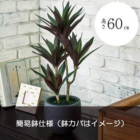 【フェイクグリーン】観葉植物 おしゃれ ドラセナ ユッカ 青年の木 幸福の木 エレファンティペス インテリアグリーン 全高65cm インテリア 造花 人工観葉植物 人工樹木 アートグリーン 人気 おすすめ リアル オブジェ 室内 屋内 フロア メンテナンスフリー 高品質 卓上サイズ