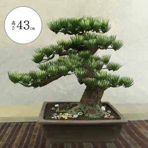 ~  tFCNO[  lC  A CeAO[ ϗtA lHϗtA CeA IuWF  a_ bonsai Mtg v[g Cxg T ՓT j 