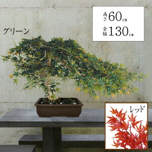 ~ ^ ~W gt ݂ tFCNO[  lC  A CeAO[ ϗtA lHϗtA CeA IuWF lH A[gO[ a_ bonsai Mt
