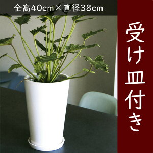 Aؔ ^ 󂯎Mt  lC v^[  |bg  |pi ϗt ϗtA ChAO[ K[fjO CeAO[ Vv  eX oRj[ 