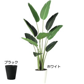 【フェイクグリーン】観葉植物 大型 おしゃれ ストレリチア ストレチア 全高150cm 人気 おすすめ リアル インテリアグリーン 造花 人工観葉植物 人工樹木 アートグリーン オブジェ ミドル 熱帯植物 オーガスタ トラベラーズパーム 新築祝い 開店祝い 本物そっくり トロピカル