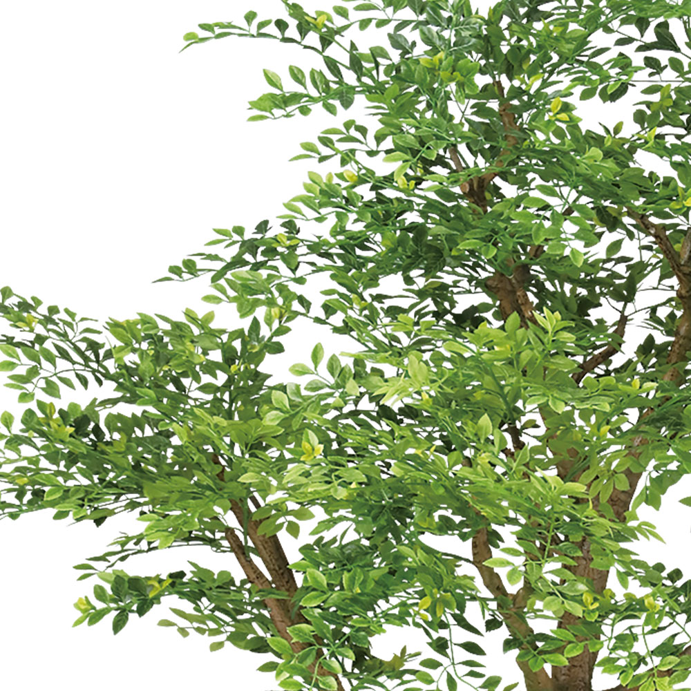 【フェイクグリーン】観葉植物 おしゃれ コアッド 大型 全高200cm ゴールデンリーフ 高品質 上質 リアル インテリアグリーン 造花 インテリア  人工観葉植物 人工樹木 トップグリーン pro 人気 | グリーンランド