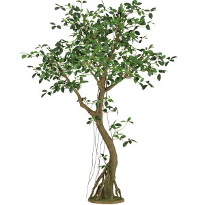 【フェイクグリーン】観葉植物 おしゃれ コアッド 大型 全高200cm ガジュマル 高品質 上質 リアル インテリアグリーン 造花 インテリア 人工観葉植物 人工樹木 トップグリーン pro 人気