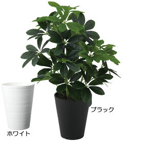 【フェイクグリーン】おしゃれ 観葉植物 インテリアグリーン 全高50cm リアル 人気 おすすめ シェフレラ カポック 人工観葉植物 造花 人工樹木 緑 オブジェ インテリア 小型 小さい 小さめ アートグリーン お洒落 ギフト 本物そっくり 卓上サイズ テーブルサイズ 棚 シェルフ