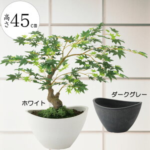 ~ ~W gt ݂ tFCNO[  lC  A CeAO[ ϗtA lHϗtA CeA IuWF lH A[gO[ a_ bonsai Mtg v