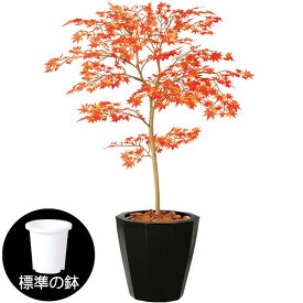 【フェイクグリーン】観葉植物 おしゃれ モミジ 全高1.0m もみじ カエデ 紅葉 赤もみじ インテリアグリーン インテリア 造花 人工観葉植物 人工樹木 アートグリーン FST 高品質 リアル バークチップ付き