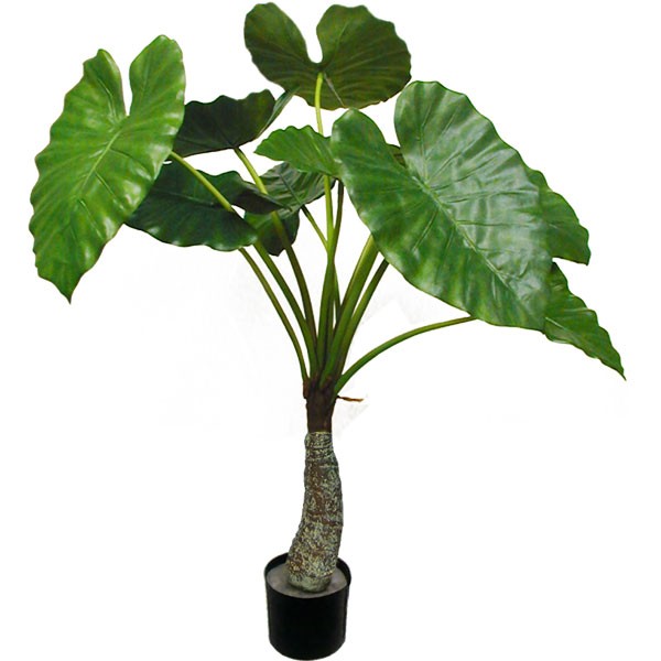 楽天市場 人工観葉植物 全高80cm クワズイモ グリーンパラソル 人工樹木 造花 フェイクグリーン インテリアグリーン オブジェ ディスプレイ 装飾 グリーンランド