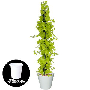 観葉植物 人工観葉植物 ポトスの人気商品 通販 価格比較 価格 Com