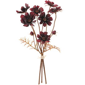 楽天市場 コスモス 花 観葉植物 花 ガーデン Diy の通販