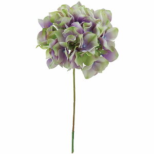 z    AWTC lC A A[eBtBVt[ lHϗtA CeAO[ A[gt[ G tFCNO[ nChWA t[A