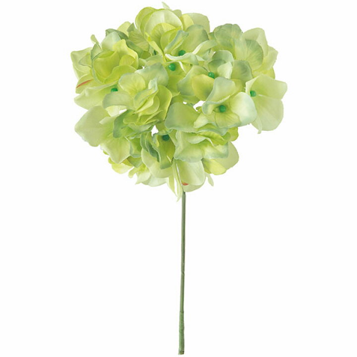 楽天市場 造花 あじさい ライトグリーン 全長23cm 4本セット ハイドレンジア 紫陽花 アジサイ 七変化 人工観葉植物 アーティフィシャルフラワー 花材 フラワーアレンジメント ディスプレイ 装飾 グリーンランド