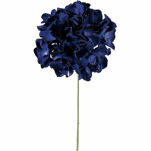 z    AWTC lC A A[eBtBVt[ lHϗtA CeAO[ A[gt[ G tFCNO[ nChWA t[A