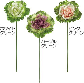 すべての美しい花の画像 ぜいたく正月 花 キャベツ