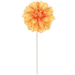 _A   lC A[eBtBVt[ Mtg v[g A t[AWg fBXvC  A[gt[ ԍ CeA tFCNO[ G 