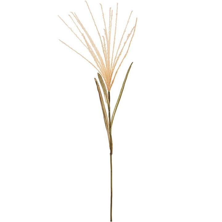 楽天市場 人工観葉植物 すすき 全長49cm 3本セット ススキ 薄 芒 秋の七草 造花 アーティフィシャルフラワーリーフ 花材 葉材 グリーン材 フラワーアレンジメント ディスプレイ 装飾 グリーンランド