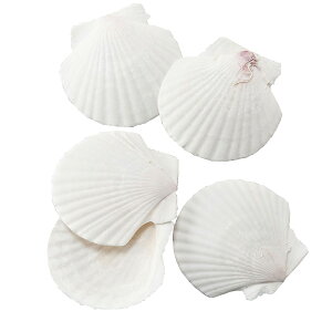 VRf  lC z^eL ~j Rf hCt[ VF Lk t[AWg fBXvC p CeA G  Ƌ ԍ   IV Mtg v