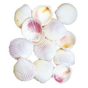 VRf  lC zCgRNX Rf hCt[ VF Lk t[AWg fBXvC p CeA G  Ƌ ԍ   IV Mtg