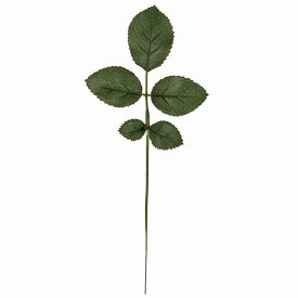 楽天市場 バラの葉の通販