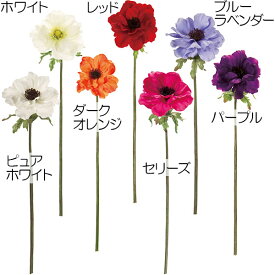 楽天市場 球根 種類 植物 ボタン の通販 楽天市場 球根 種類 植物 ボタン の通販