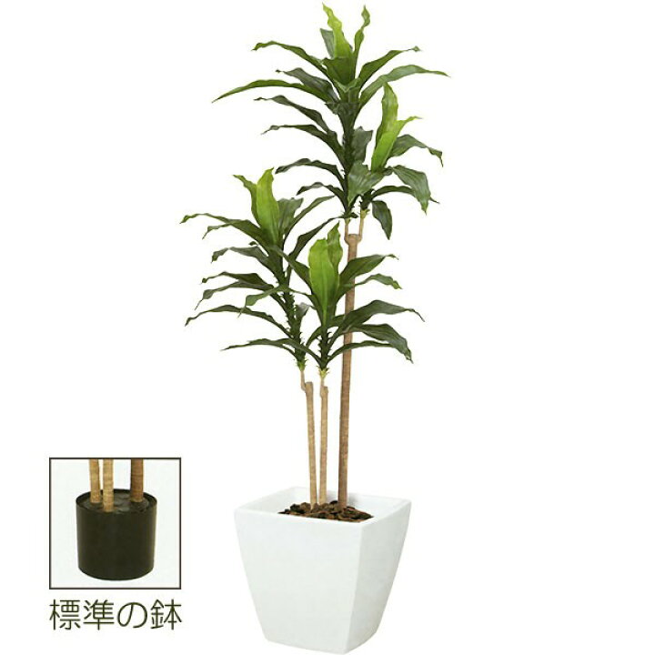 楽天市場 屋外対応 人工観葉植物 全高1 45m ドラセナ 幸福の木 マッサン フラグランス ニオイセンネンボク 人工樹木 造花 フェイクグリーン インテリアグリーン オブジェ ディスプレイ 装飾 グリーンランド