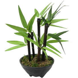 楽天市場 フェイクグリーン 卓上 種類 植物 バンブー 花 ガーデン Diy の通販 楽天市場 フェイクグリーン 卓上 種類 植物 バンブー 花 ガーデン Diy の通販