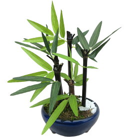 楽天市場 フェイクグリーン 卓上 種類 植物 バンブー 花 ガーデン Diy の通販