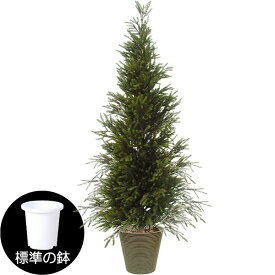楽天市場 クリスマスツリー もみの木 鉢の通販