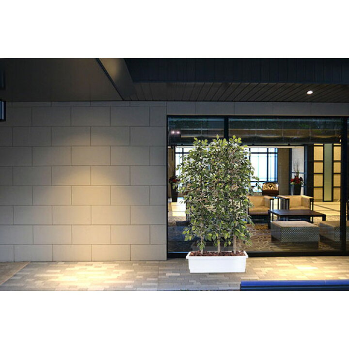 W100×D50×H200cmパーテーション 人工観葉植物 仕切り フェイクグリーン ベンジャミンパーテーションH200cm