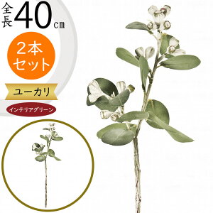 [J tFCNO[  CeAO[ lC A  A[gvc lHϗtA A[gO[ lH [J̖ } } ԍ t t t[A