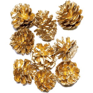 hCt[  ~j S[h S2.5`3cm 40Zbg 120×2 VRf Rf ԍ t[AWg fBXvC  NX}X  Cxg ꑕ