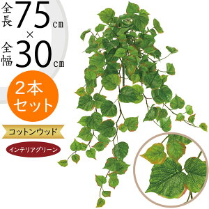 tFCNO[  lC CeAO[ A lHϗtA  lH A[gvc A[gO[ ϗtA ChAO[ CeA G Ƌ IuWF ԍ 