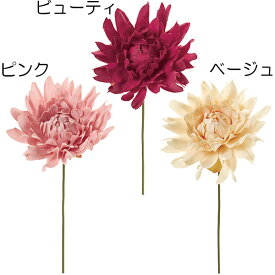 楽天市場 テンジクボタンの通販