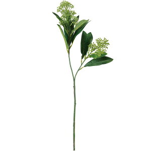 yԁz CeA VL~A CgO[ S43cm 3{Zbg XL~A [R ~}VL~ lHϗtA A[eBtBVt[ t[AWg fBXvC 