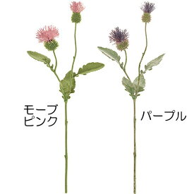 楽天市場 あざみ 花 ガーデン Diy の通販
