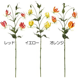楽天市場 グロリオサ 球根の通販