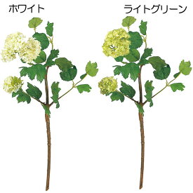 楽天市場 ビバーナム 木の通販